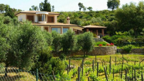 Uva & Stelle Maison in collina di Sperlonga